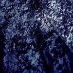 Insides - CD Audio di Fort Romeau