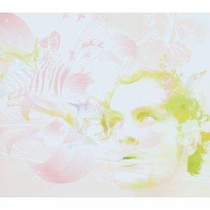 Surf Boundaries - CD Audio di Christopher Willits