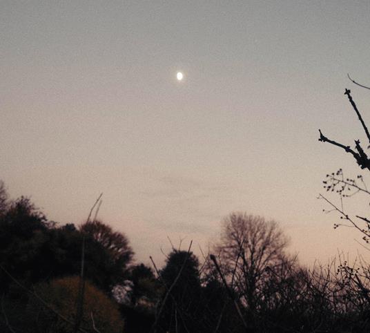 Dreamer Awake - CD Audio di Rachel Sermanni