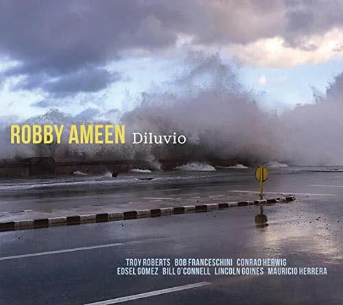 Diluvio - CD Audio di Robby Ameen