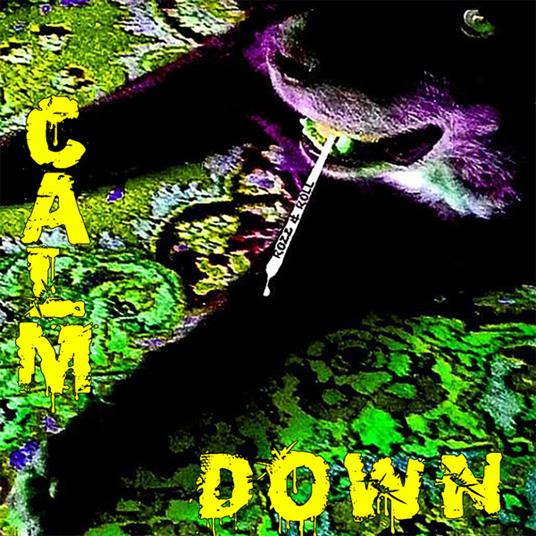 Rozz & Roll - Calm Down - CD Audio