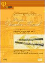 Playing Chamber Musik. Philharmonische Blaser (DVD)