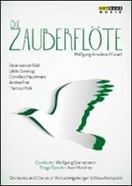 Wolfgang Amadeus Mozart. Il Flauto Magico (DVD)
