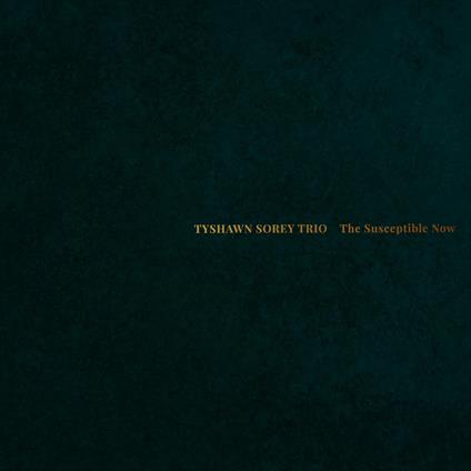 The Susceptible Now - CD Audio di Tyshawn Sorey