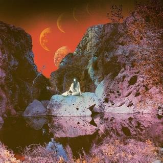 Primitive and Deadly - Vinile LP di Earth