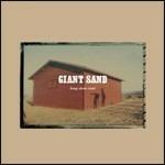 Long Stem Rant (25th Anniversary) - CD Audio di Giant Sand