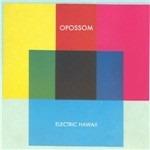 Electric Hawaii - CD Audio di Opossom