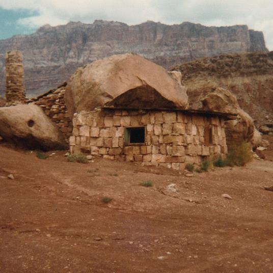 Domestic Sphere - Vinile LP di Josephine Foster