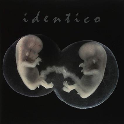 Identico - Vinile 7'' di Sad Lovers and Giants