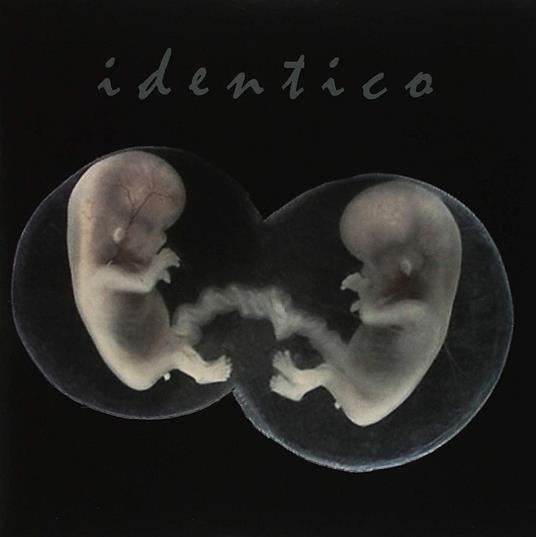 Identico - Vinile 7'' di Sad Lovers and Giants
