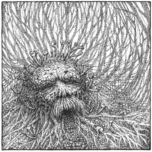 Nemorous - Vinile LP di Nemorous