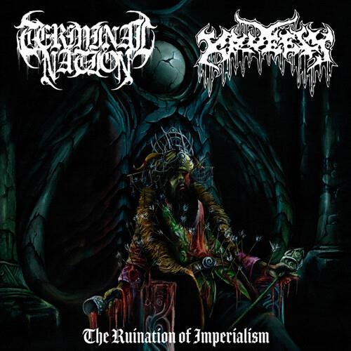 Ruination Of Imperialism - Vinile LP di Terminal Nation