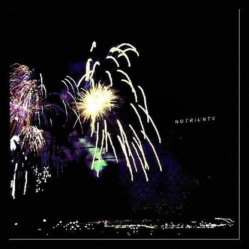 Different Bridges - Vinile LP di Nutrients