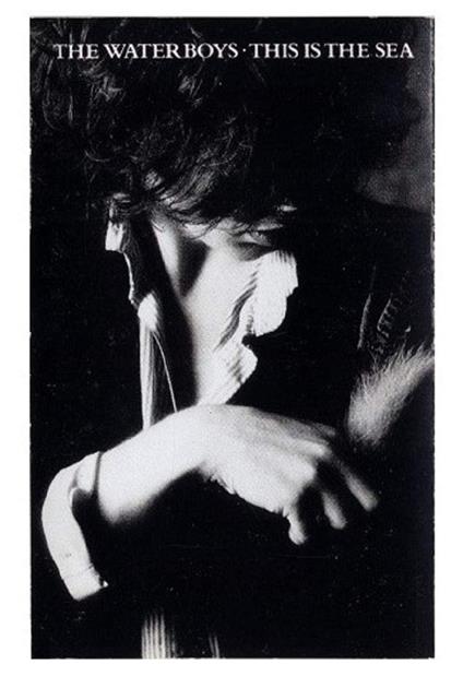 This Is The Sea - Vinile LP di Waterboys