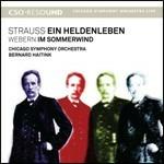 Vita d'eroe (Ein Heldenleben) / Im Sommerwind