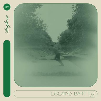 Anyhow - CD Audio di Leland Whitty