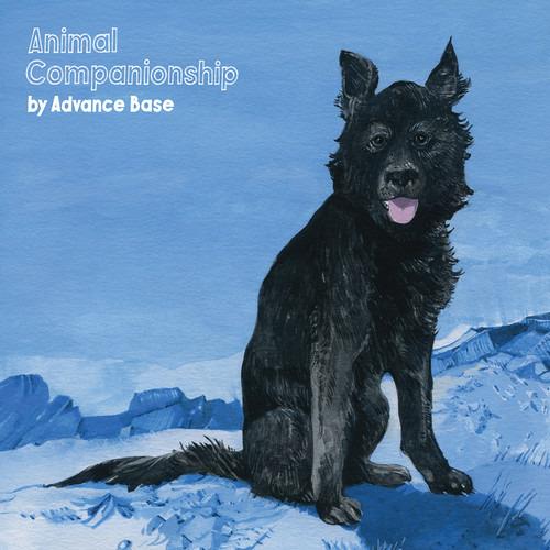 Animal Companionship (Coloured Vinyl) - Vinile LP di Advance Base