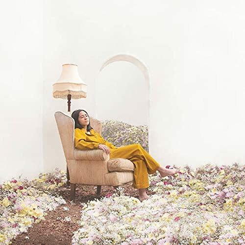 Always in Motion - CD Audio di Mini Trees