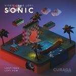Video Game Lofi. Sonic