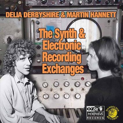 Synth and Electronic Recording Exchanges - Vinile LP di Delia Derbyshire