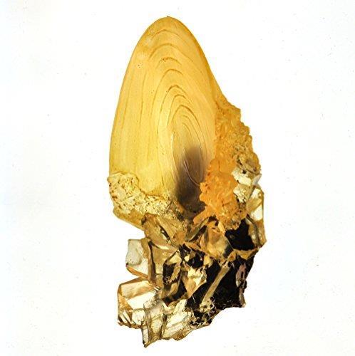 Harry Potter. Replica Della Coppa Di Cristallo - 4