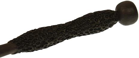 Harry Potter: Bacchetta Magica di Nigel Wolpert - 3