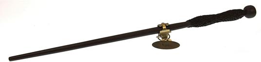 Harry Potter: Bacchetta Magica di Nigel Wolpert - 5