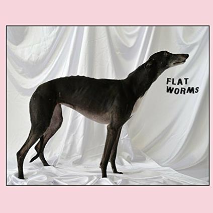Flat Worms - Vinile LP di Flat Worms