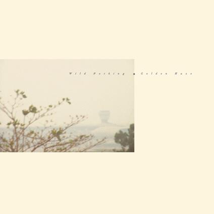 Golden Haze (Golden Haze Vinyl) - Vinile LP di Wild Nothing