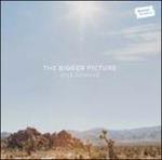 The Bigger Picture - CD Audio di Stee Downes