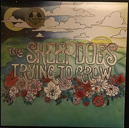 Trying To Grow - Vinile LP di Sheepdogs