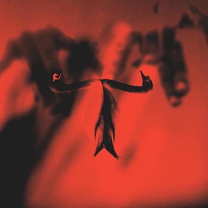 Maxim Mental In Maximalism - Vinile LP di Maxim Mental