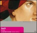 Arie - CD Audio di Johann Sebastian Bach