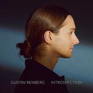 CD Introspection Gustav Renberg