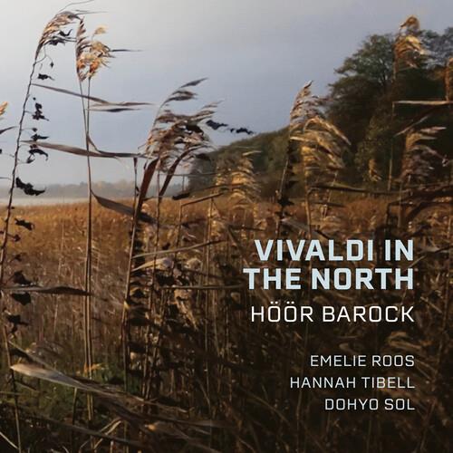 Vivaldi In The North - CD Audio di Antonio Vivaldi