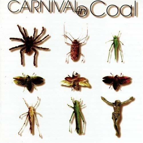 Fear Not Carnival in - CD Audio di Carnival in Coal