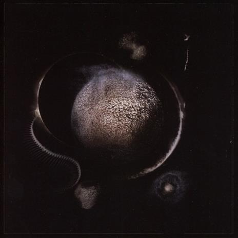 Cold Black Suns - CD Audio di Enthroned