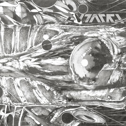 Form in Motion - Vinile LP di Autarkh