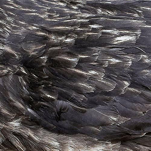 Arstidir (Coloured Vinyl) - Vinile LP di Arstidir