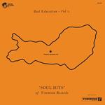 Bad Education vol.1: Soul Hits of Timmion Records