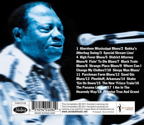 Panama Limited - CD Audio di Bukka White - 2