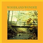 Instrumental Sounds Of Nature. Woodland Wonder