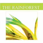 Sounds of Nature. Rainforest