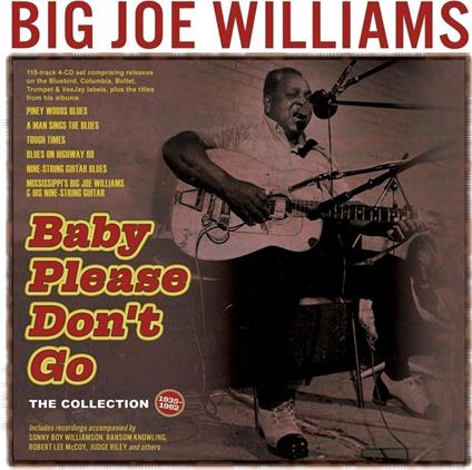 Baby Please Don'T Go - The Collection 1935-62 - CD Audio di Big Joe Williams