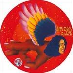 Man Who Sold the World (Picture Disc)