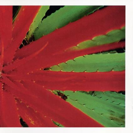 This Afternoons Malady - Vinile LP di Jejune