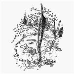 At Disconnected Moments - CD Audio di STL