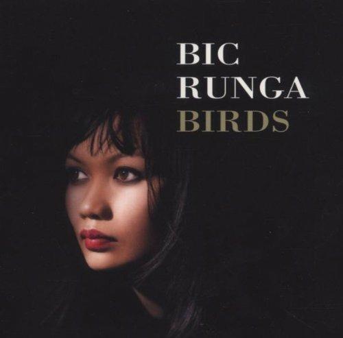 Birds - CD Audio di Bic Runga