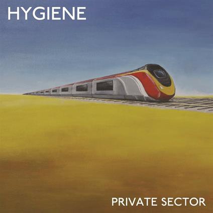 Private Sector - Vinile LP di Hygiene