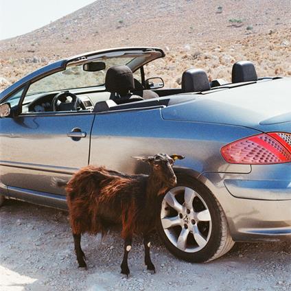 Prove The Mountains Move - Vinile LP di Exek